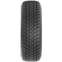 ZETA - WZT2055017N - WINTER 17" Tire 205/50R17 pa6